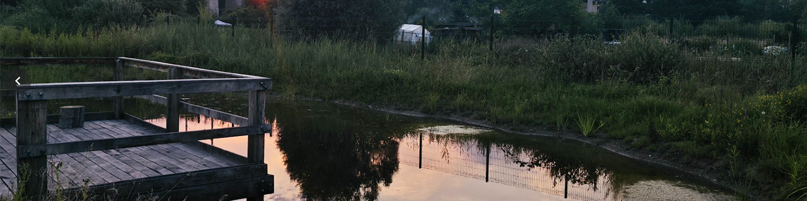 Milieu aquatique de JADEN