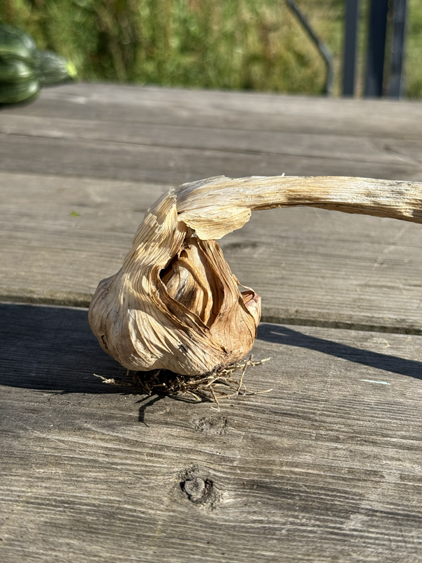 AIL